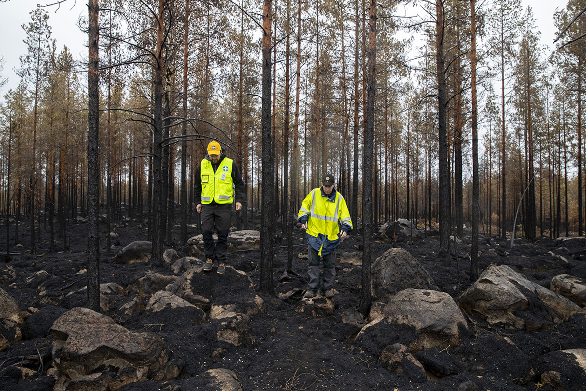 Kaksi keltalliivistä Vapaaehtoisen pelastuspalvelun vapaaehtoista kävelee pahoin palaneen metsän keskellä.