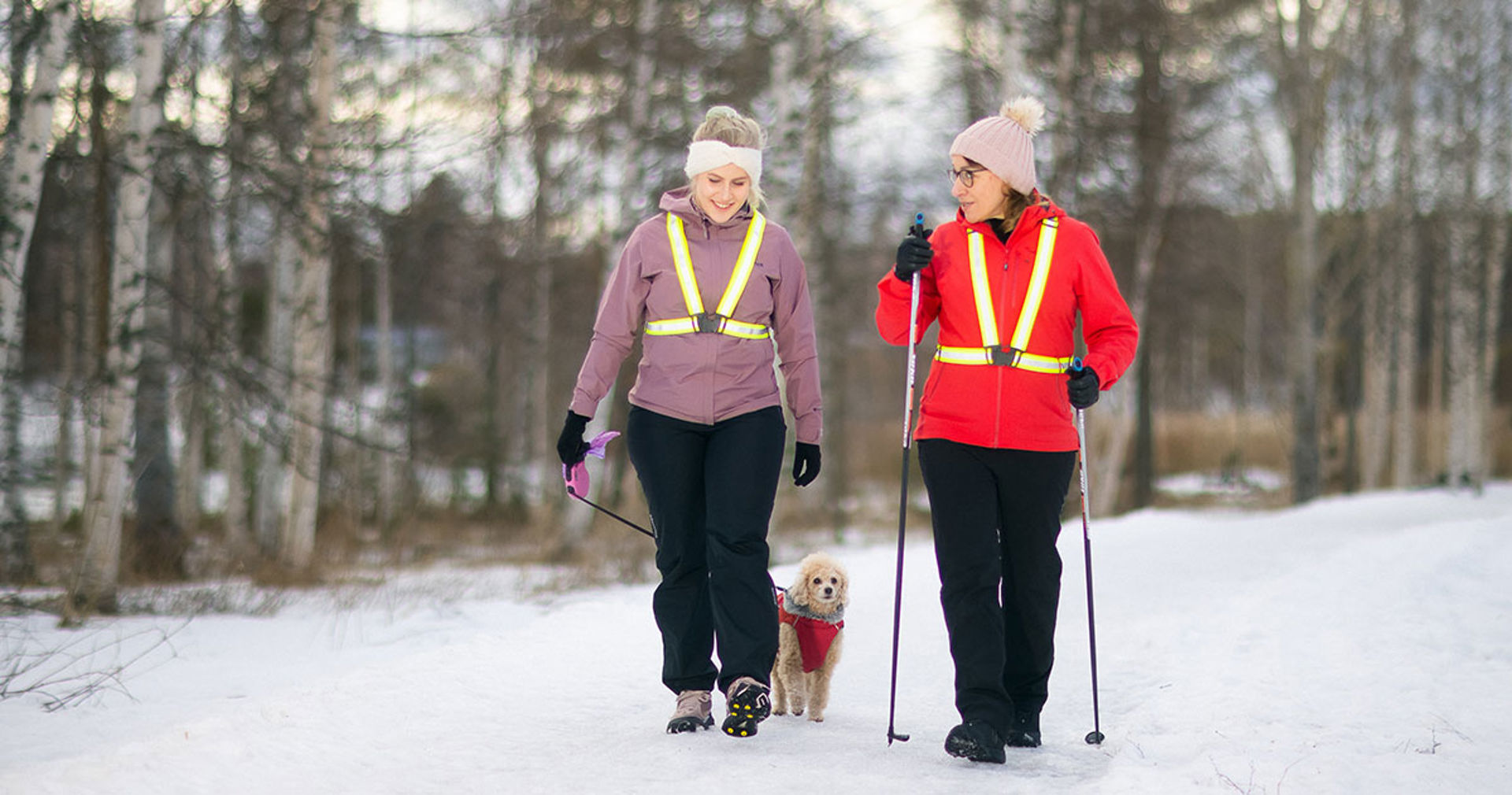 Kaksi henkilöä ulkoilee koiran kanssa talvisessa maisemassa. Toisella ulkoilijalla on liukuesteet, toisella kävelysauvat.